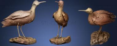 3D model long billed curlew (STL)